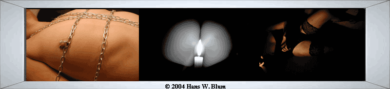 Zu den Erotikgalerien 1 - 3 � 2004 Hans W. Blum