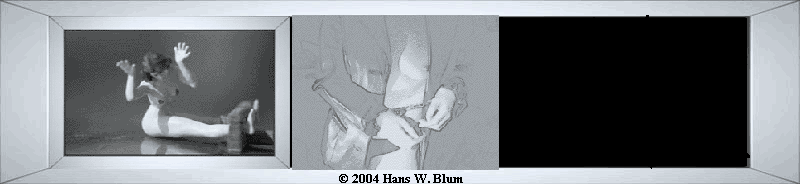 Zu den Erotikgalerien 1 - 3 � 2004 Hans W. Blum