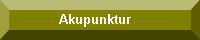 T30Akupunktur