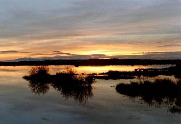 Sonnenuntergang bei Portiragnes