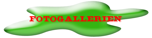 Fotogallerien