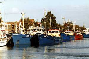 haven.jpg (11539 bytes)