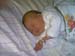 Bild102