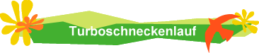 Turboschneckenlauf