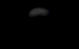 Bildname