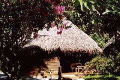 Bungalow_aussen.gif