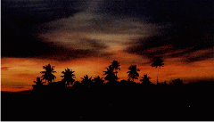 Sonnenuntergang.gif