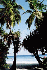 Strand2.gif
