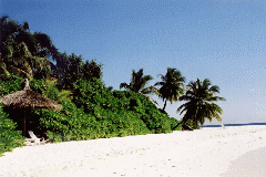 Strand3.gif