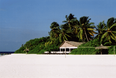 Bar und Beach Volleyball
