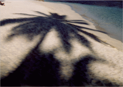 Schatten