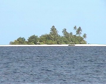 Gatafushi