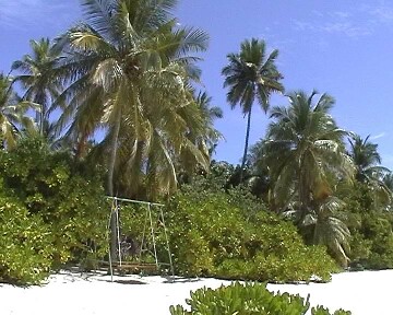 Schaukel am Strand
