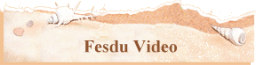 Fesdu Video