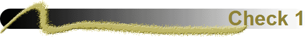 Check 1