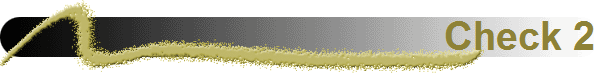 Check 2