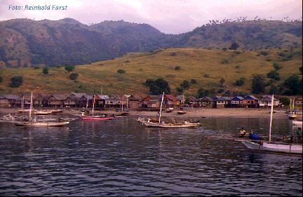 ein Fischerdorf auf Komodo