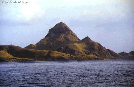 Rinca im Komodo-Nationalpark