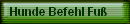 Hunde Befehl Fu