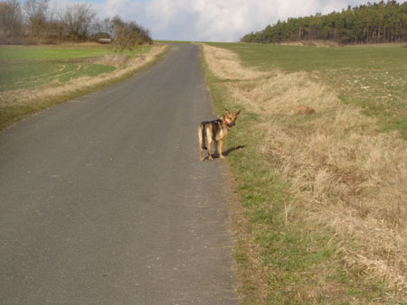 Senta