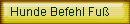 Hunde Befehl Fu