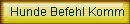Hunde Befehl Komm