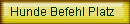 Hunde Befehl Platz
