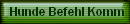 Hunde Befehl Komm