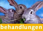 Behandlungen