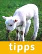 Linktipps