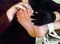 Thumbs/tn_sbpix546.jpg