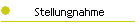 Stellungnahme