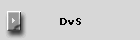 DvS
