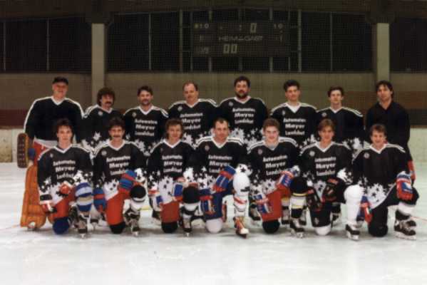 team95.jpg (24320 bytes)
