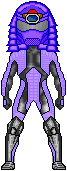 Webtrooper