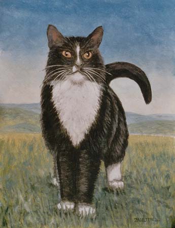 275felix