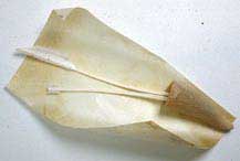 Pit