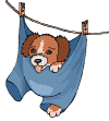 dog22.gif - 9506 Bytes