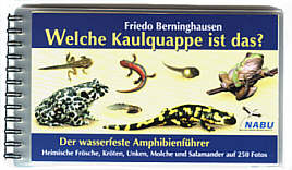 Amhibienseite mit Forum