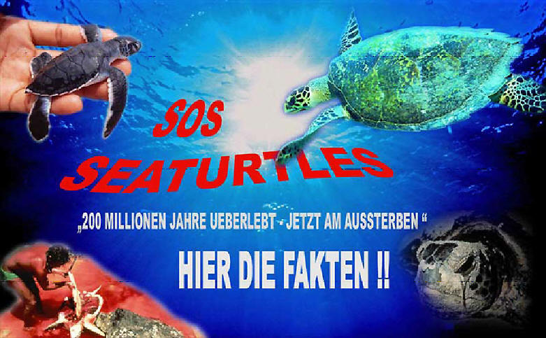 SOS - SEATURTLES 