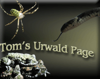 Tom`s Urwald Page!