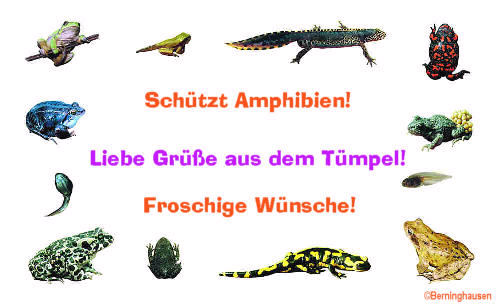 Rote Liste