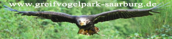 Greifvogelpark-Saarburg