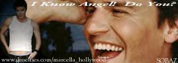 Angel Quiz