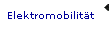 Elektromobilitt