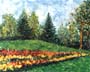 Park 1
