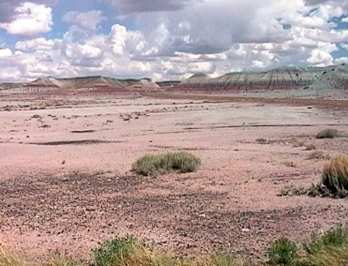die Painted Desert beeindruckt mit unterschiedlichsten Gesteinsfarben