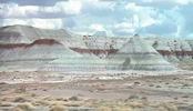 die Painted Desert in Wei�