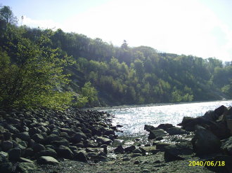 wald