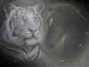 Tiger_Pferd.jpg (42257 Byte)
